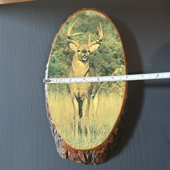 Buck Print on Wood Slice - Picture 6 of 7